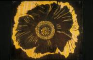 Florale Flächenmusterung