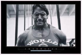 Intensity - Schwarzenegger by Butler