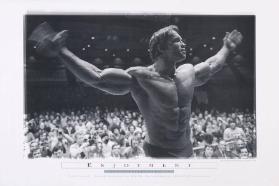 Enjoyment - Schwarzenegger by Butler