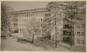 Das Modell ; Universitätsspital Zürich