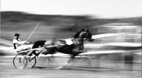 Frühlings-Rennen im Aarauer Schachen