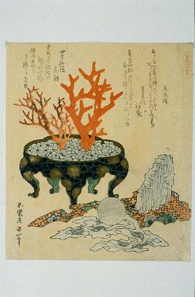 Uma zukushi, Meno seki