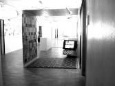 Leben im Ornament ; Bilddokumentation ; Ausstellungsgestaltung