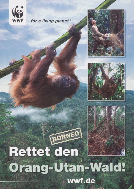 WWF - for a living planet - Rettet den Orang-Utan-Wald!