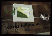 FLORAISON MYSTERIEUSE ; Bild 13 ; Ausstellungsgestaltung ; Vitrine Dossier Theoret. Diplomarbei…