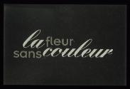LA FLEUR SANS COULEUR ; Bild 1 ; Label für fashion show final cut

